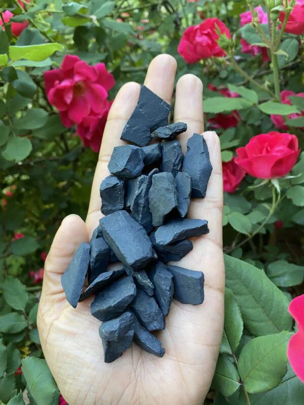 Shungite
