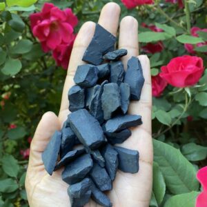 Shungite