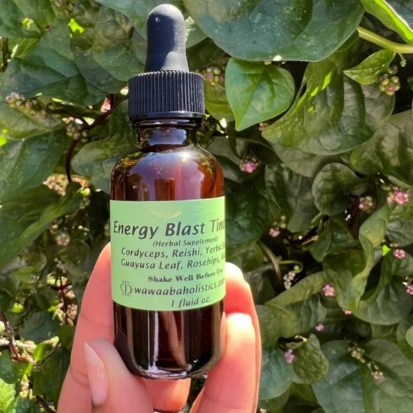 Wellness Tinctures