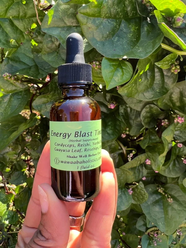 Wellness Tinctures