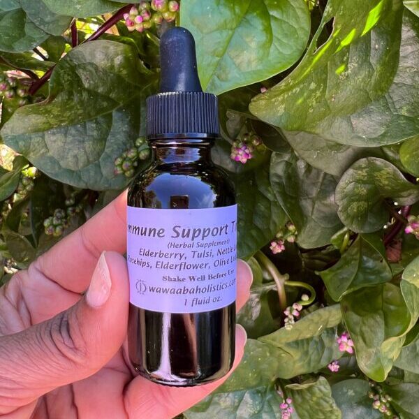 Wellness Tinctures